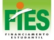 cone fies