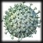 ícone influenza h1n1