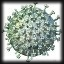 cone influenza h1n1