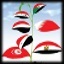 ícone primavera árabe
