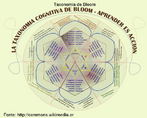 A taxonomia dos objetivos educacionais, tambm popularizada como taxonomia de Bloom,  uma estrutura de organizao hierrquica de objetivos educacionais. Foi resultado do trabalho de uma comisso multidisplinar de especialistas de vrias universidades dos EUA, liderada por Benjamin S. Bloom, na dcada de 1950. A classificao proposta por Bloom dividiu as possibilidades de aprendizagem em trs grandes domnios:  - o cognitivo, abrangendo a aprendizagem intelectual;  - o afetivo, abrangendo os aspectos de sensibilizao e gradao de valores;  - o psicomotor, abrangendo as habilidades de execuo de tarefas que envolvem o organismo muscular.  Cada um destes domnios tem diversos nveis de profundidade de aprendizado. Por isso a classificao de Bloom  denominada hierarquia: cada nvel  mais complexo e mais especfico que o anterior. O terceiro domnio no foi terminado, e apenas o primeiro foi implementado em sua totalidade. 