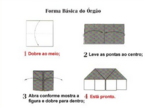 Transformar uma simples folha de papel numa flor, animal, balo ou qualquer outro objeto de forma tridimensional,  um momento mgico do origami, a milenar arte oriental da dobradura de papel. No origami  possvel se acrescentar som, movimento e volume e, com isto sua beleza ganha valor sendo enfocada como utilitrio: pssaros que batem asas, rs que saltam, uma vaso de forma inusitada ou qualquer outro objeto. Hoje o origami tem sido muito utilizado no ensino bsico da geometria. Esta arte tambm possibilita desenvolver a capacidade motora e criativa do indivduo.